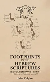 Footprints book cover